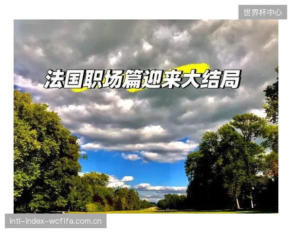 法国队并非全程高压，而是通过中场陷阱迫使对手失误发起反击。